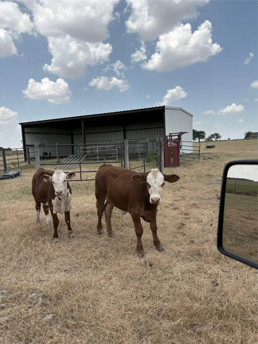600 County Road 444 Land, Thorndale, TX 76577 - #2