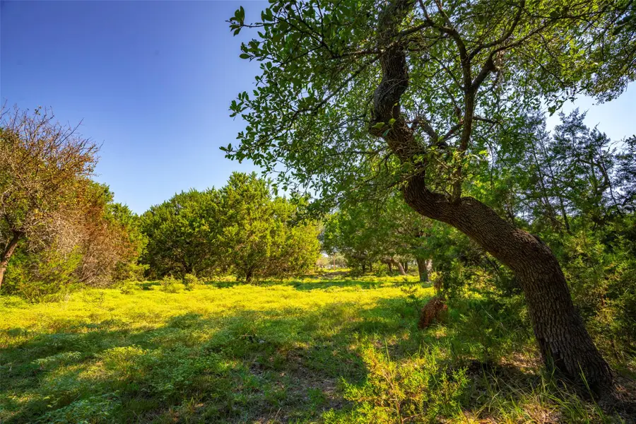 9999 Brizendine Rd, Liberty Hill, TX 78642 - Image #2