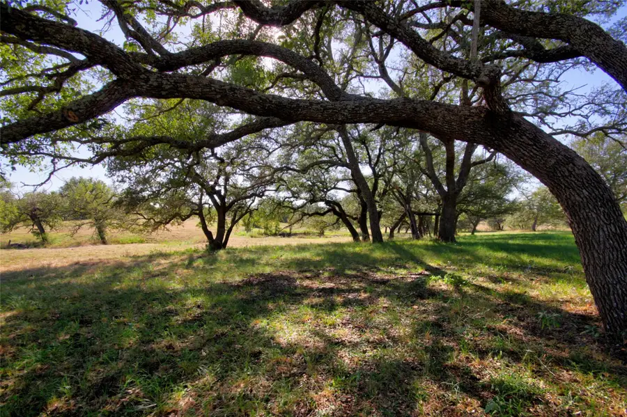 132 Offer Ln, Llano, TX 78643 - #3