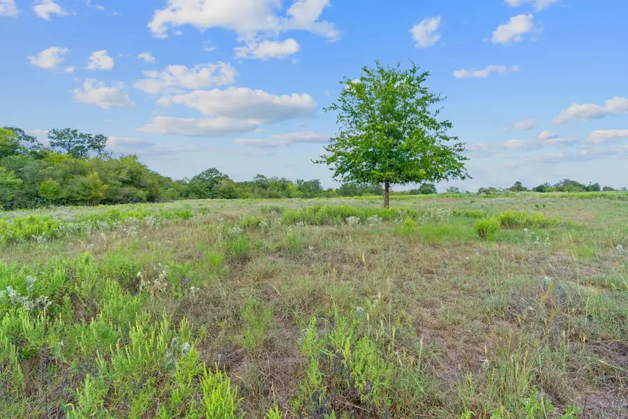 Lot 4 Private Road 4511, Waelder, TX 78959 - Image #3