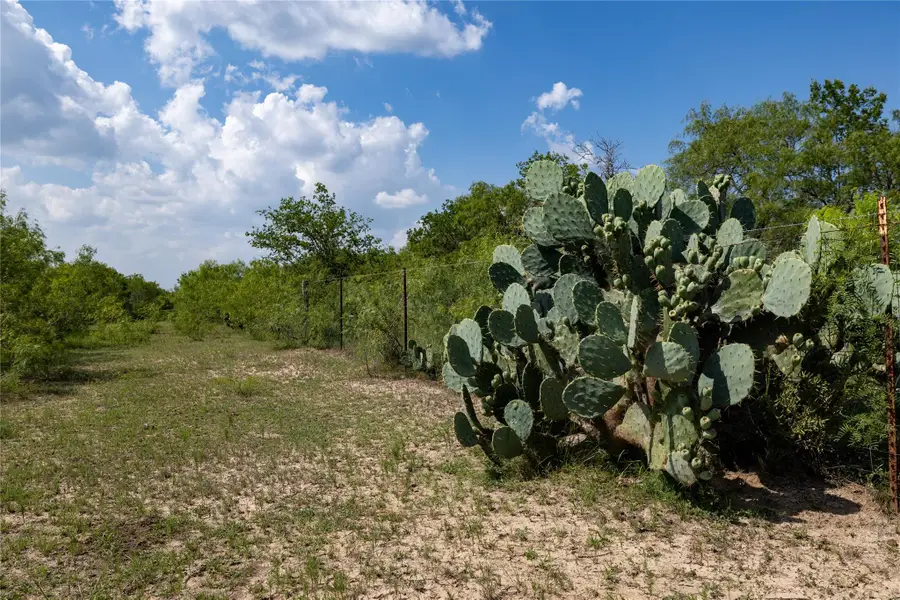 410 Green Acre Dr, Dale, TX 78616 - Image #2