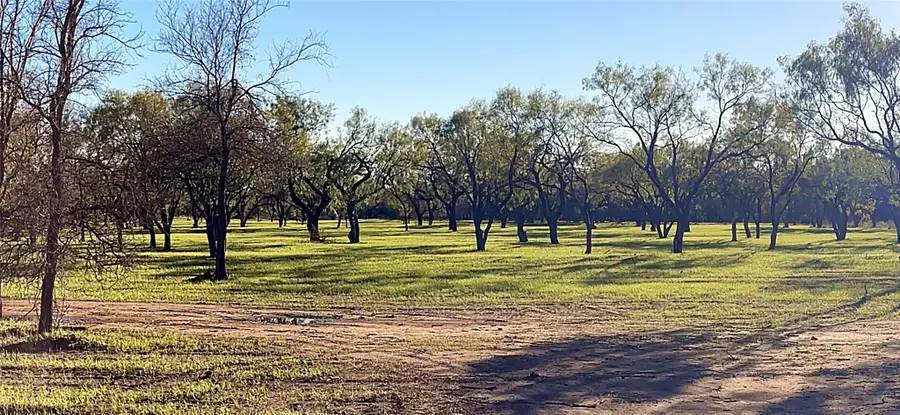 6417 County Road 120, Marble Falls, TX 78654 - #2