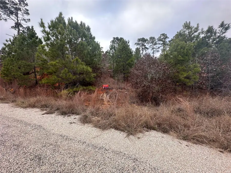 LOT 183 / R32300 Keo Kea Ct, Bastrop, TX 78602 - Image #3