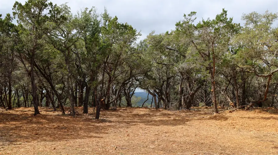 Tract 4 Buttercup Ln, Wimberley, TX 78676 - #2