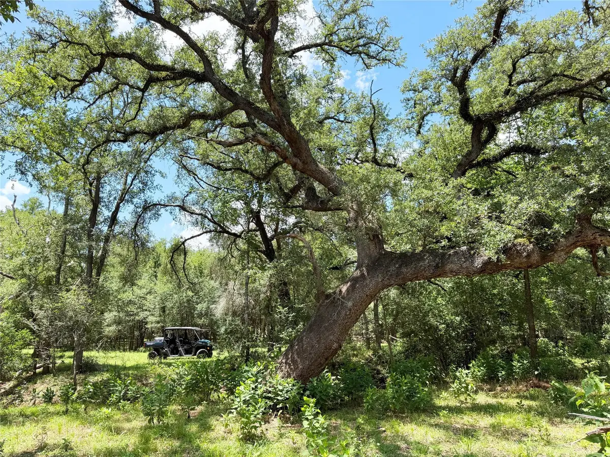 0000 Fm 2239, Paige, TX 78659 - #1