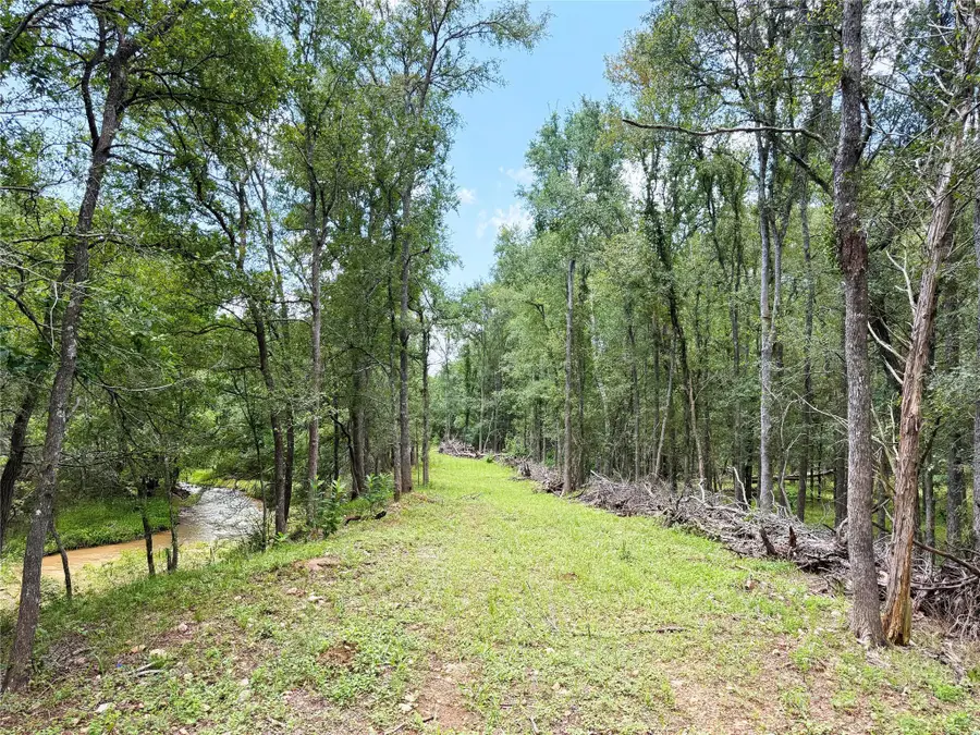 0000 Fm 2239, Paige, TX 78659 - #2