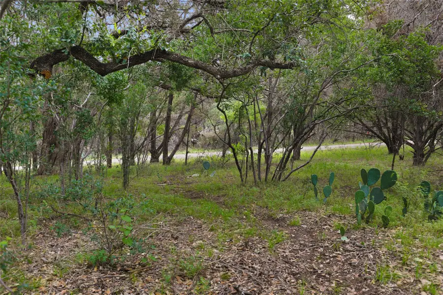 1702 Dove Rd, Lago Vista, TX 78645 - Image #2