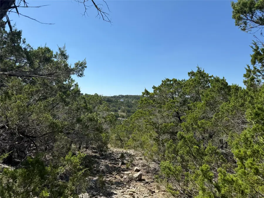 917 Roy Creek Trl, Dripping Springs, TX 78620 - Image #3