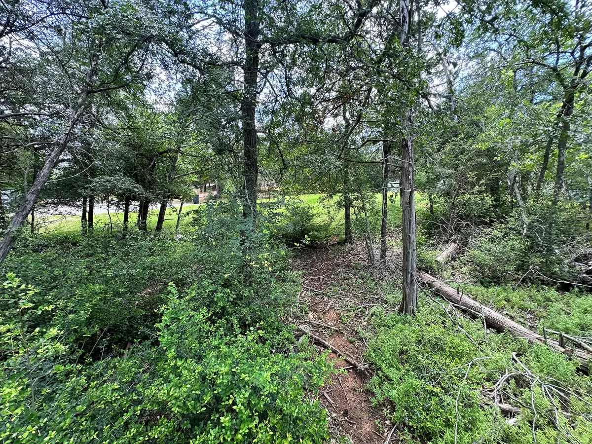 173 Kaaawa Ln, Bastrop, TX 78602 - #1