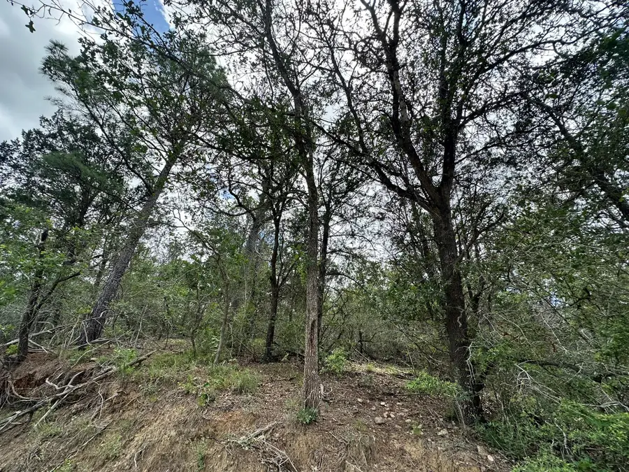 173 Kaaawa Ln, Bastrop, TX 78602 - #3
