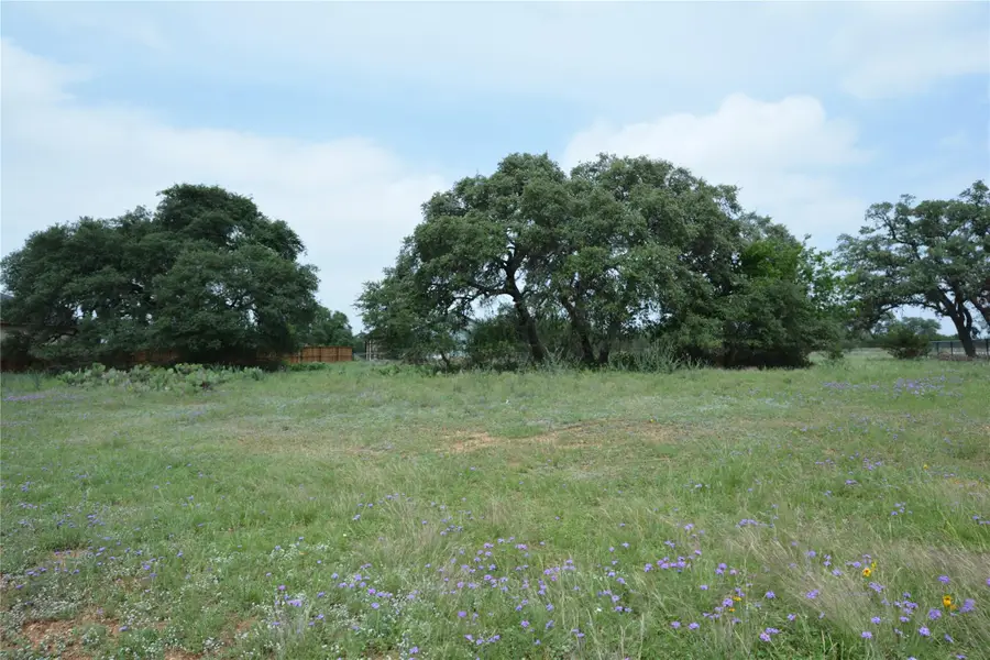 124 Hiram Cook, Blanco, TX 78606 - Image #3
