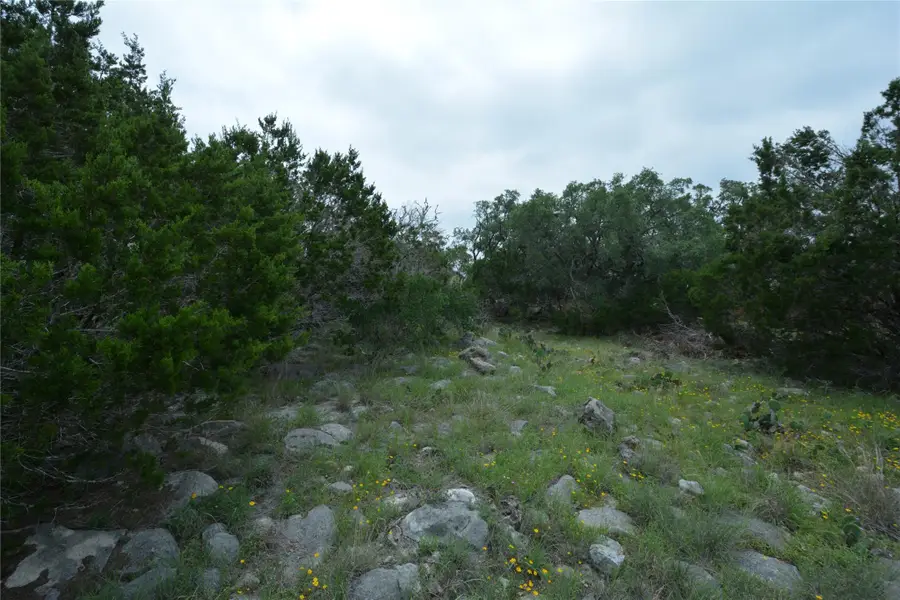 134 E Alex Jordan, Blanco, TX 78606 - Image #3