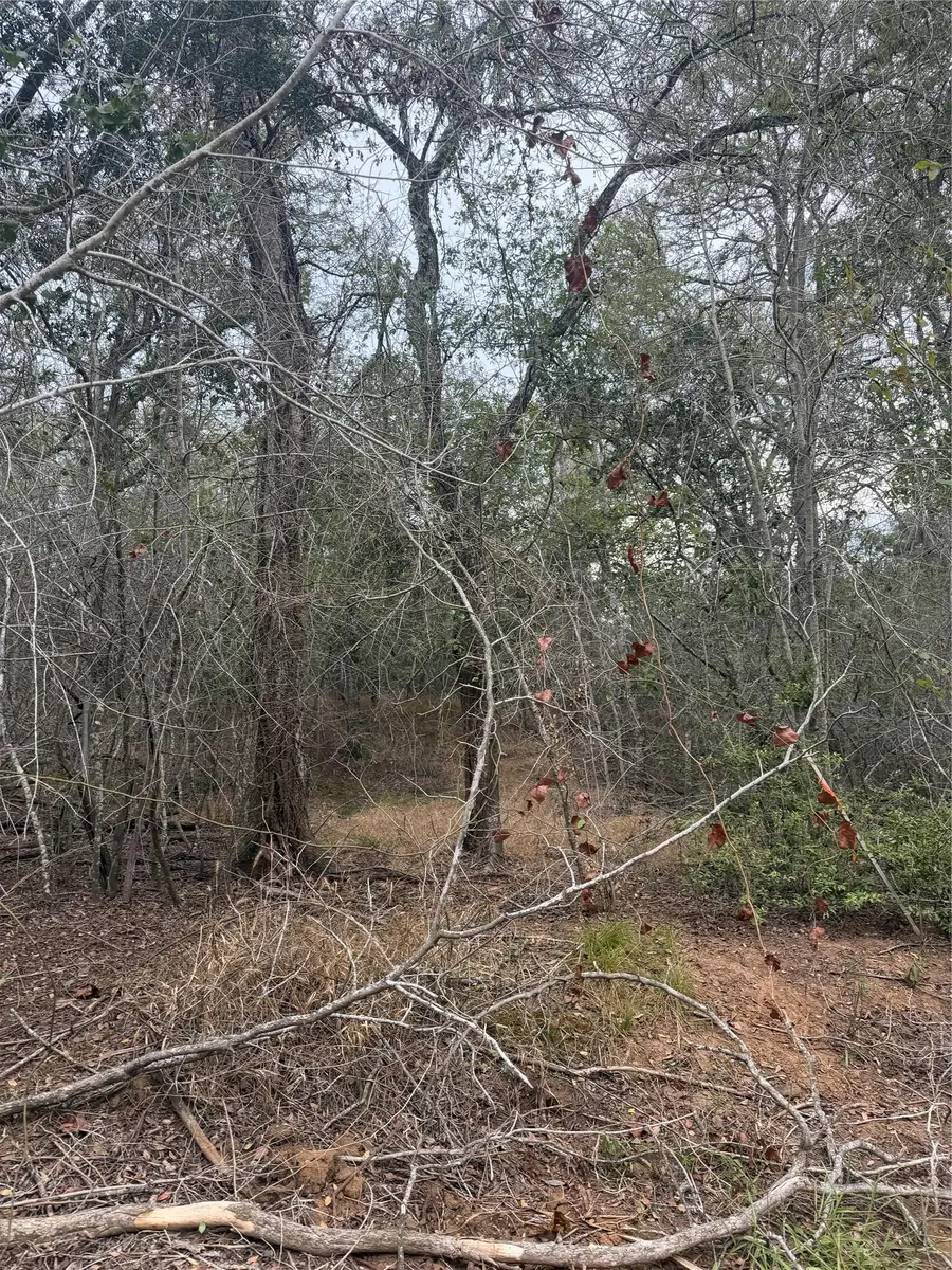 Lots 565 and 566 Mokulua Ln, Bastrop, TX 78602 - #2