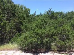 8403 Tawny Cv, Lago Vista, TX 78645 - #1