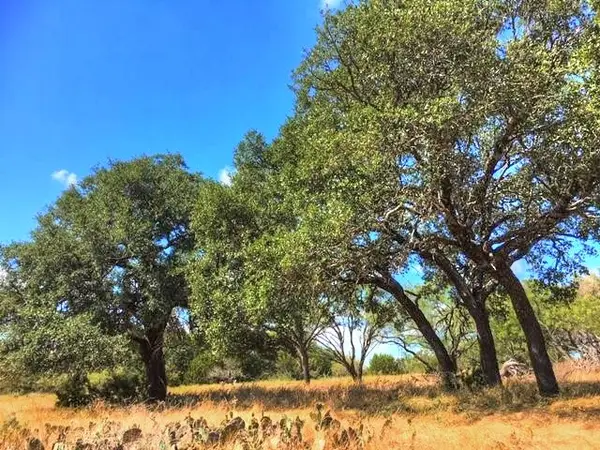 2W Tract 2 County Road 2200, Lometa, TX 76853