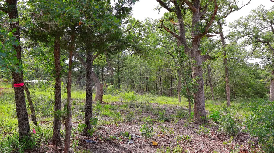 200 Cheyenne Dr, Smithville, TX 78957 - #2
