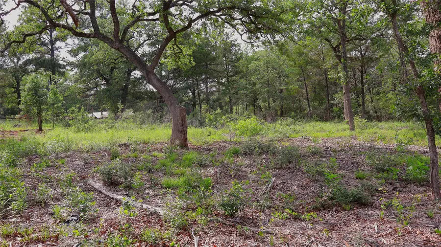 200 Cheyenne Dr, Smithville, TX 78957 - #3
