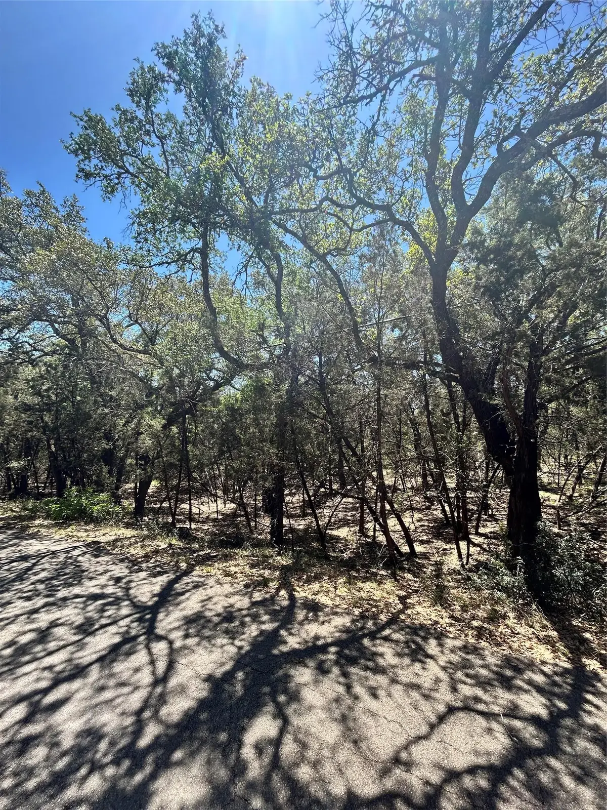 21505 Cardinal Ave, Leander, TX 78645 - Image #1