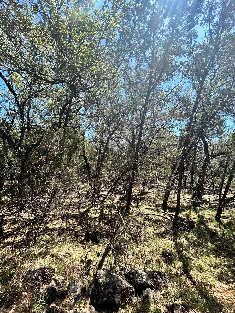 21505 Cardinal Ave, Leander, TX 78645 - Image #3