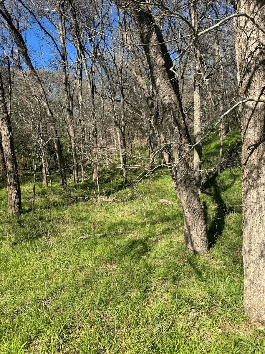 Lots 638. 639. 640 Kaukonahua Ln, Bastrop, TX 78602 - #3