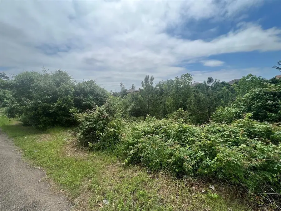 TBDD Pahala Ct, Bastrop, TX 78602 - Image #2