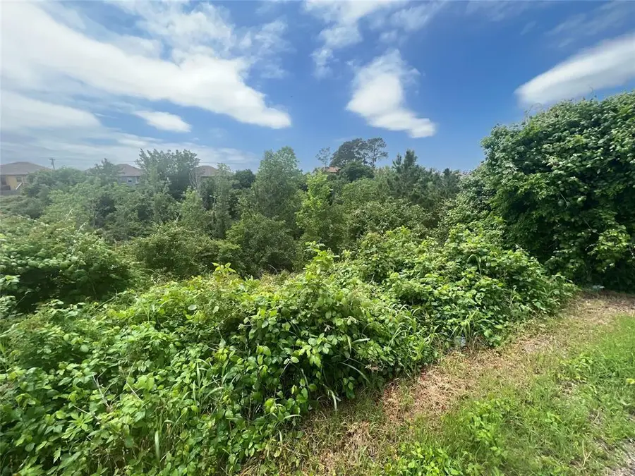 TBDD Pahala Ct, Bastrop, TX 78602 - Image #3