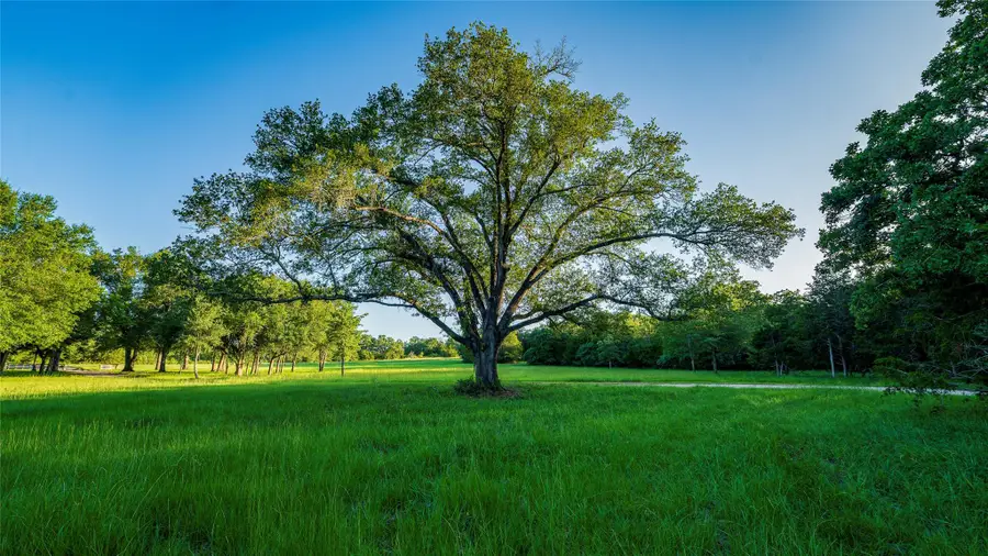 1462 County Road 313, Lexington, TX 78947 - #3
