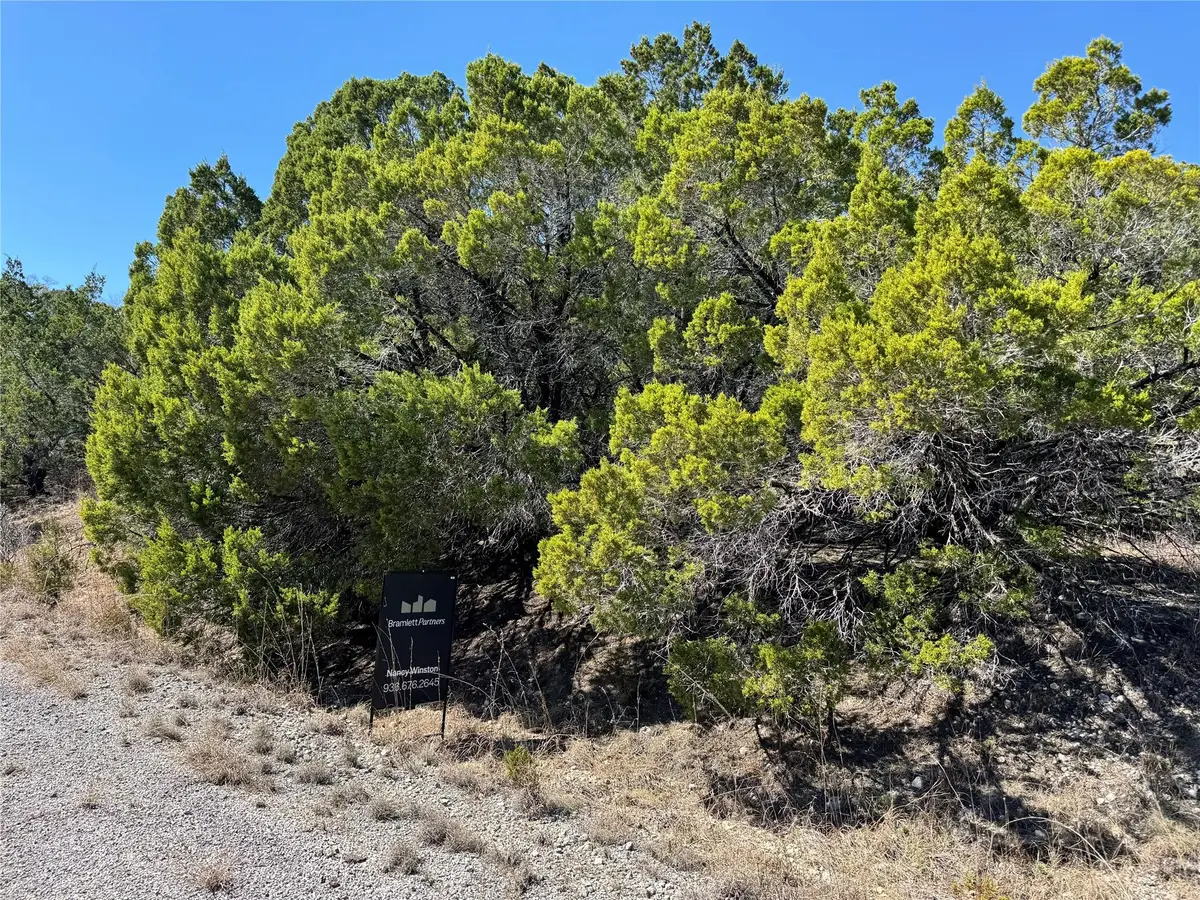 8700 Tegua Cv, Lago Vista, TX 78645 - #1