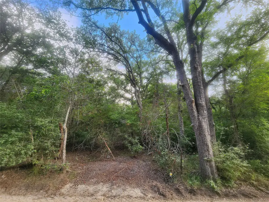 TBD Post Oak Rim Dr, Bastrop, TX 78602 - Image #2