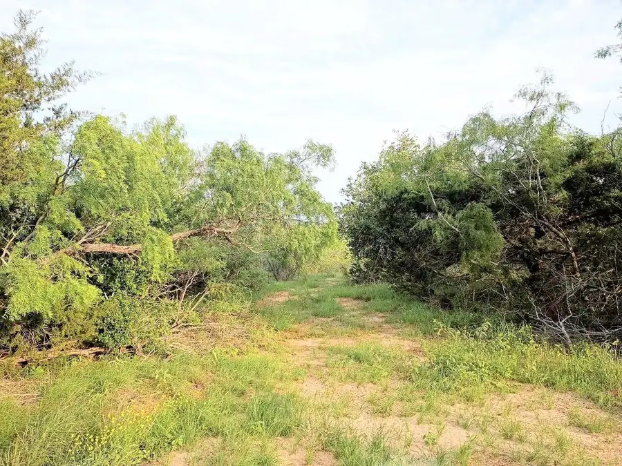 TBD Mesquite Dr, Cedar Creek, TX 78612 - #2