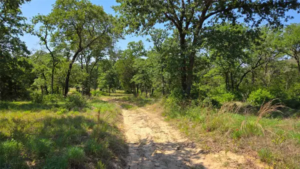 277 Meuth Cemetery Rd, Red Rock, TX 78662