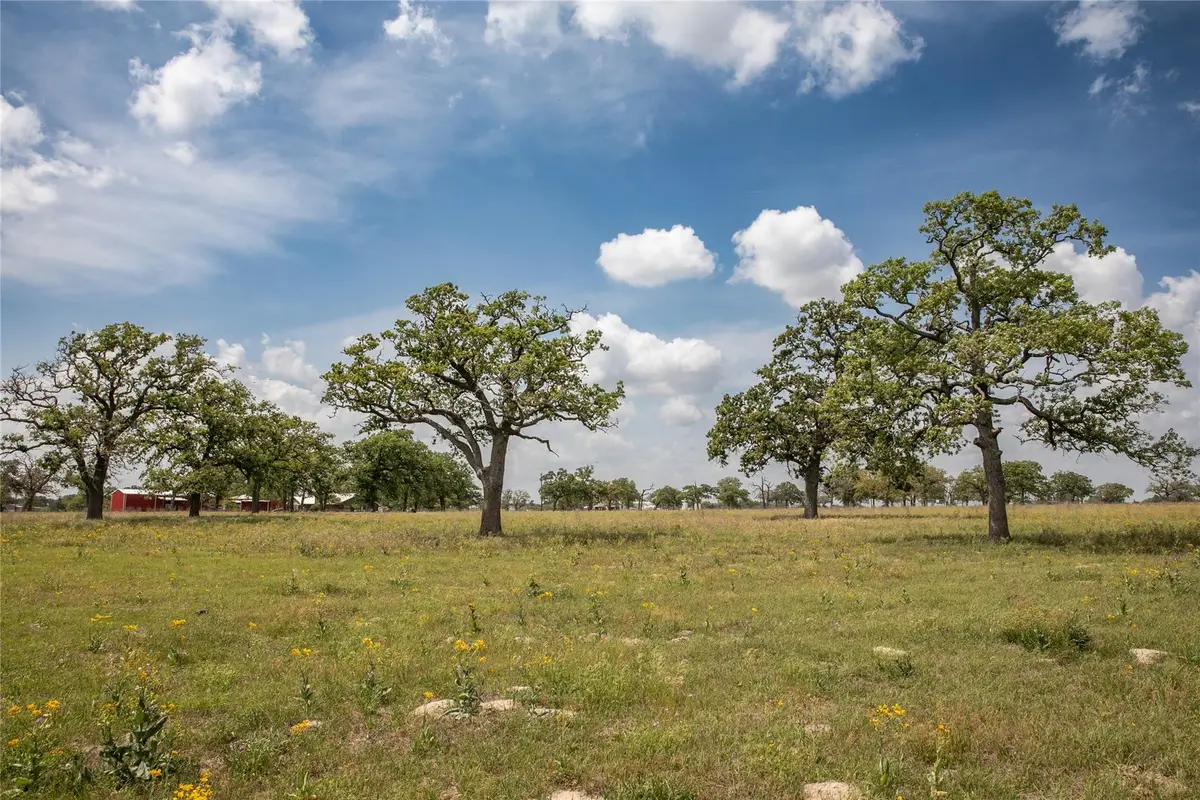 4254 Fm 180 Rd, Ledbetter, TX 78946 - #1