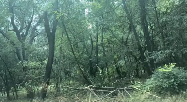 4202 Kings Ct, Austin, TX 78725