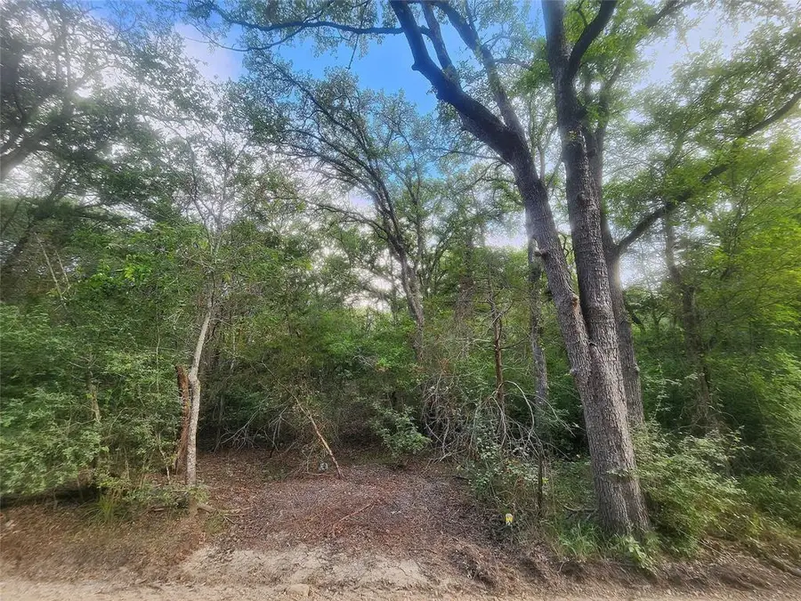 TBD Post Oak Rim Dr, Bastrop, TX 78602 - #3