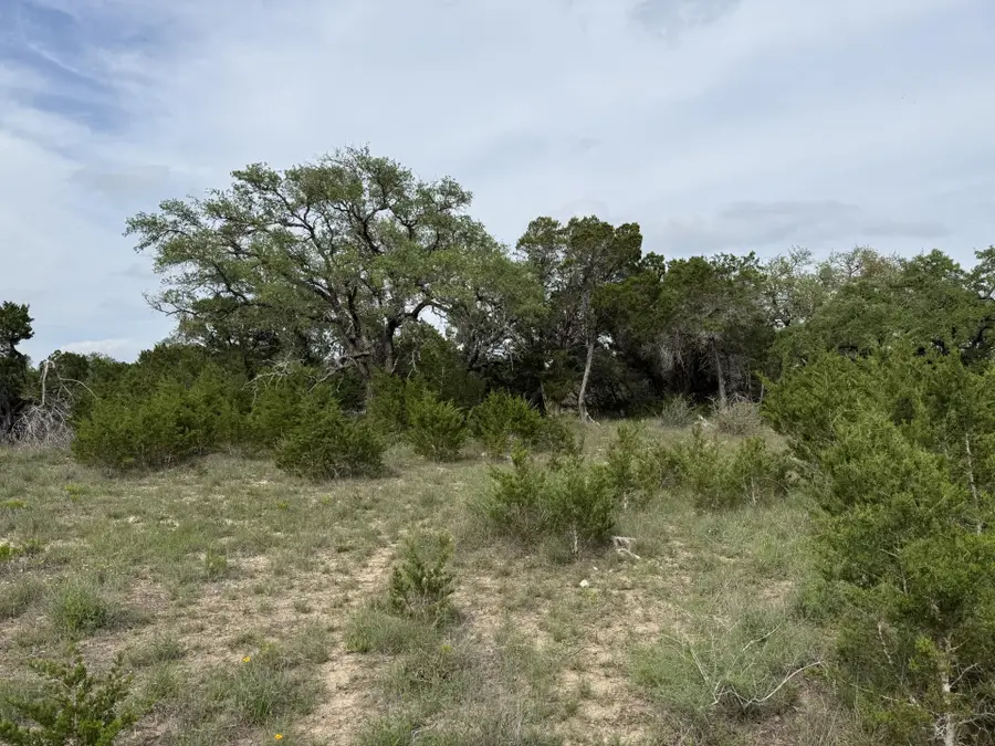 Lot 81 Toro Pass, Wimberley, TX 78676 - #3