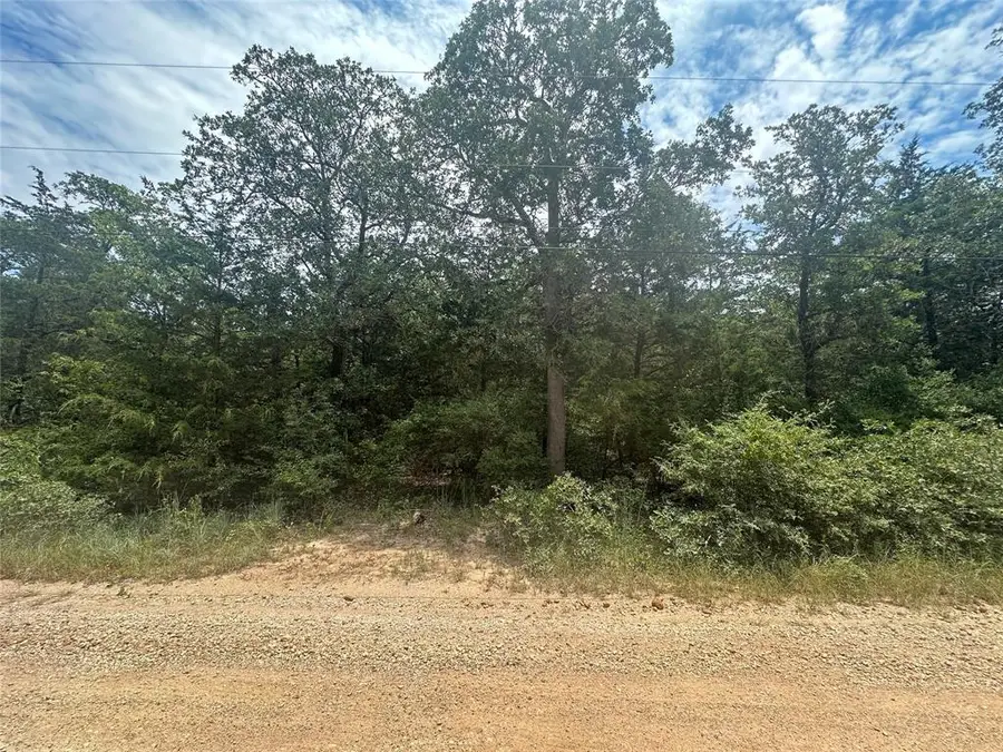 246 Arrowhead Dr, Smithville, TX 78957 - #3
