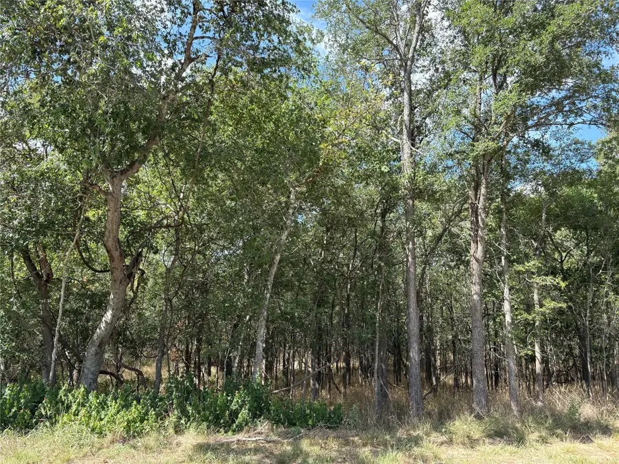 103 & 105 W Kikipua Ln, Bastrop, TX 78602 - Image #3