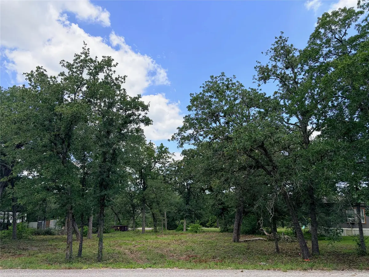 Lots-90/91 Arapaho Dr, Smithville, TX 78957 - #1