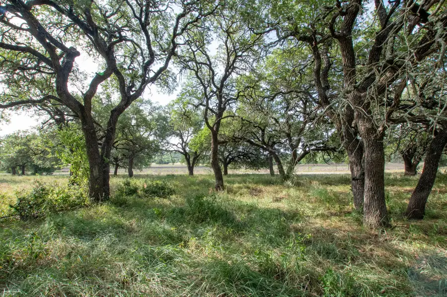 103 Fm-1047, Evant, TX 76880 - #2