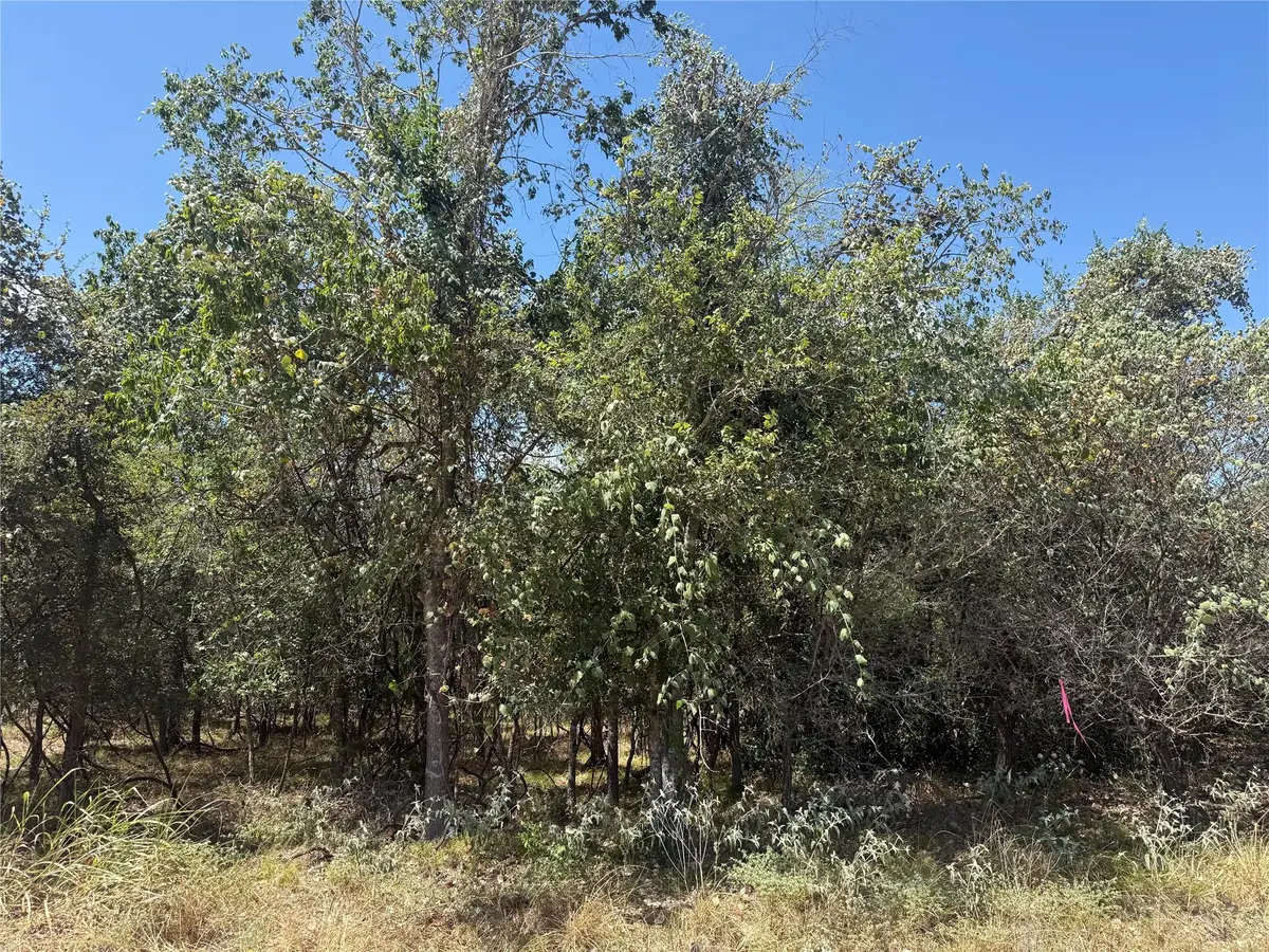TBD Kawainui Ln, Bastrop, TX 78602 - #1