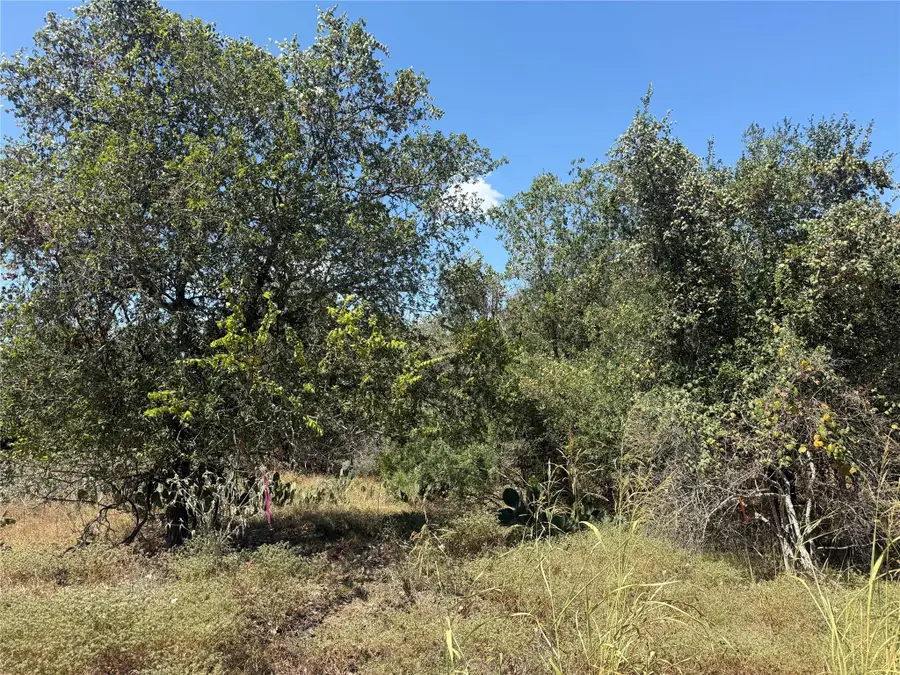 TBD Kawainui Ln, Bastrop, TX 78602 - #2