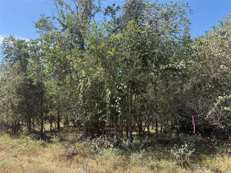 TBD Kawainui Ln, Bastrop, TX 78602 - #3