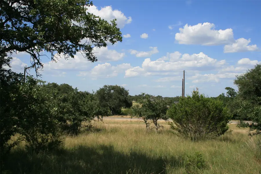 137 W Pat Dolan, Blanco, TX 78606 - #2