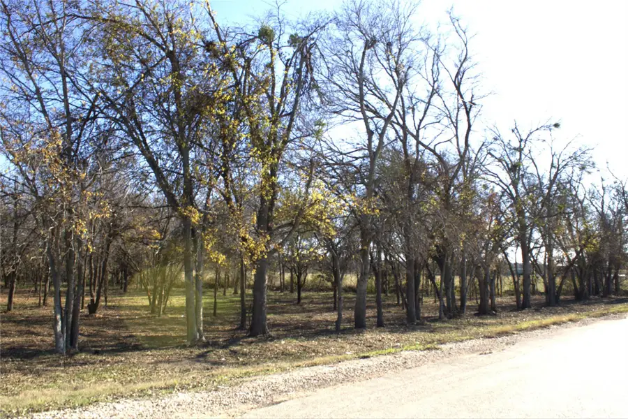 TBD S Hackberry St, Holland, TX 76534 - Image #3