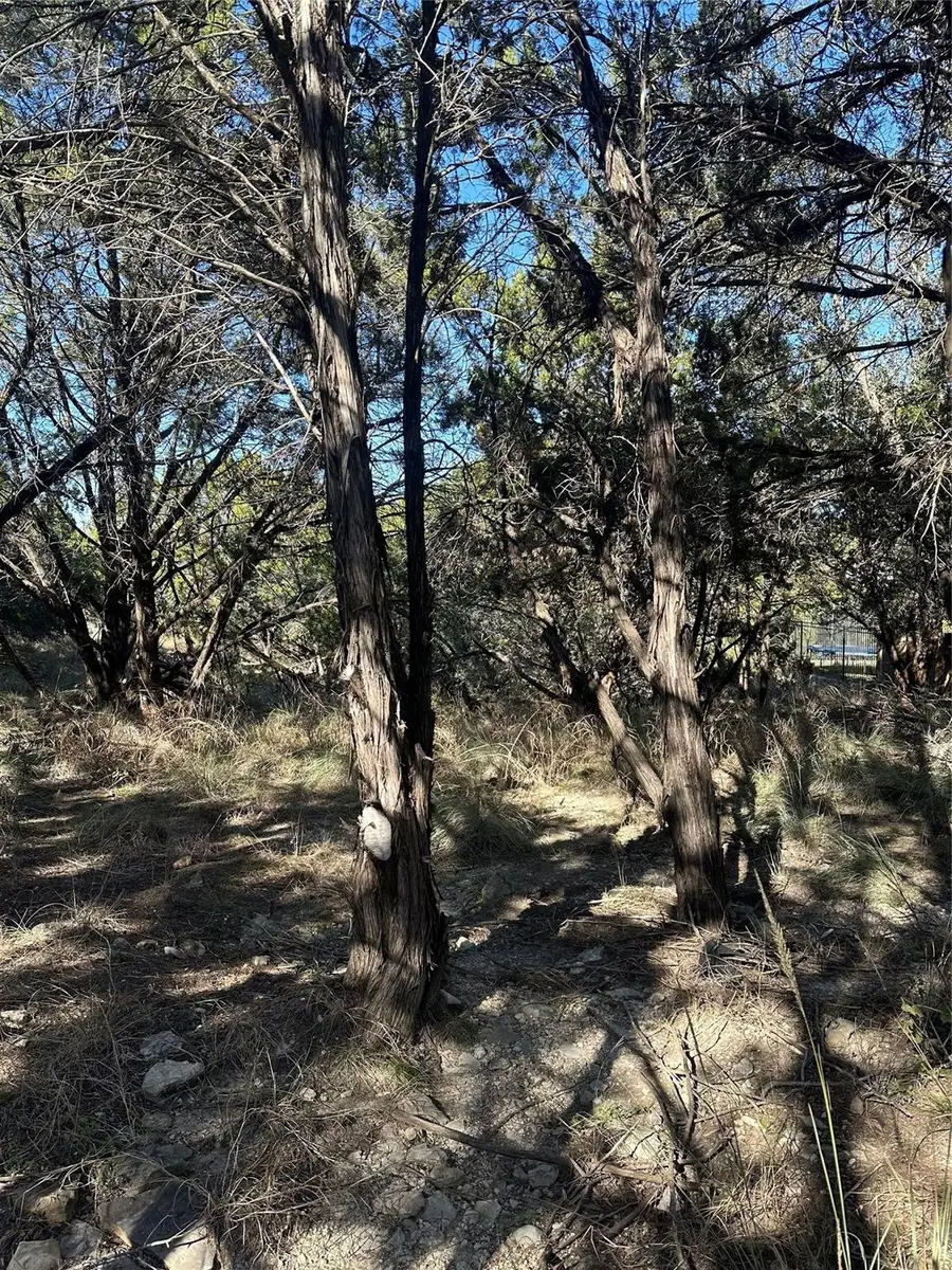 20700 Branding Iron, Lago Vista, TX 78645 - #2