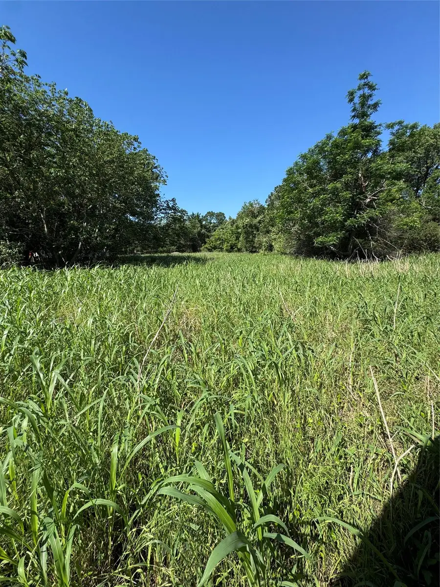 600 Gazley St, Smithville, TX 78957 - #2