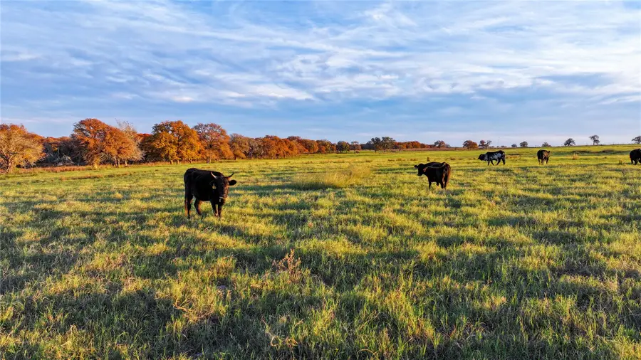 TBD Tx-123, Seguin, TX 78155 - Image #2