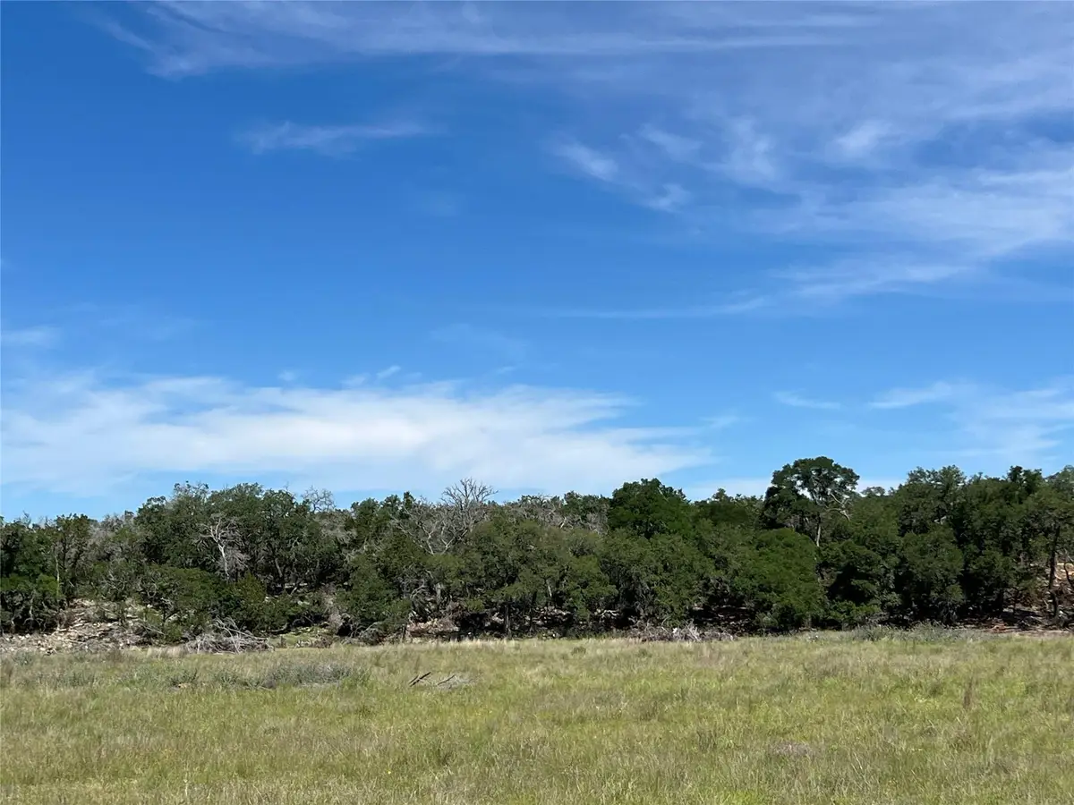 TBD Narrows Rd, Blanco, TX 78606 - Image #1