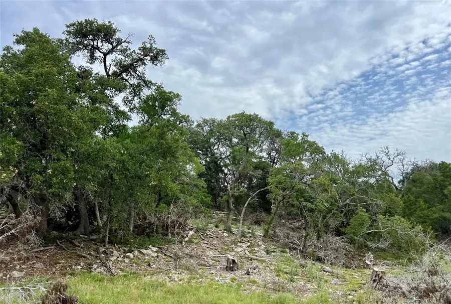 TBD Narrows Rd, Blanco, TX 78606 - Image #3