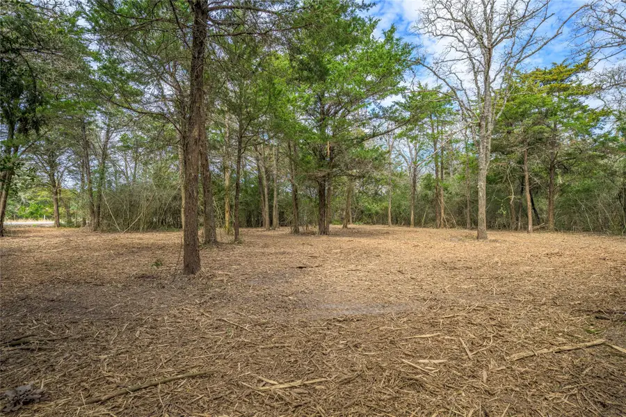 TBD (LOT 2) N Hauptstrasse St, Carmine, TX 78932 - Image #2